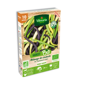Haricot Nain en Mélange de Couleurs - 10M - BIO